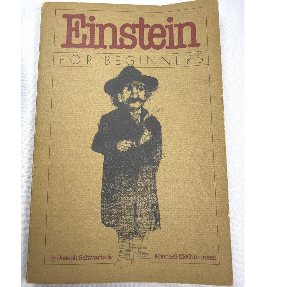 Pantheon Einstein For Beginners Book Unisex OS Brown Paper Vintage Physics Comic